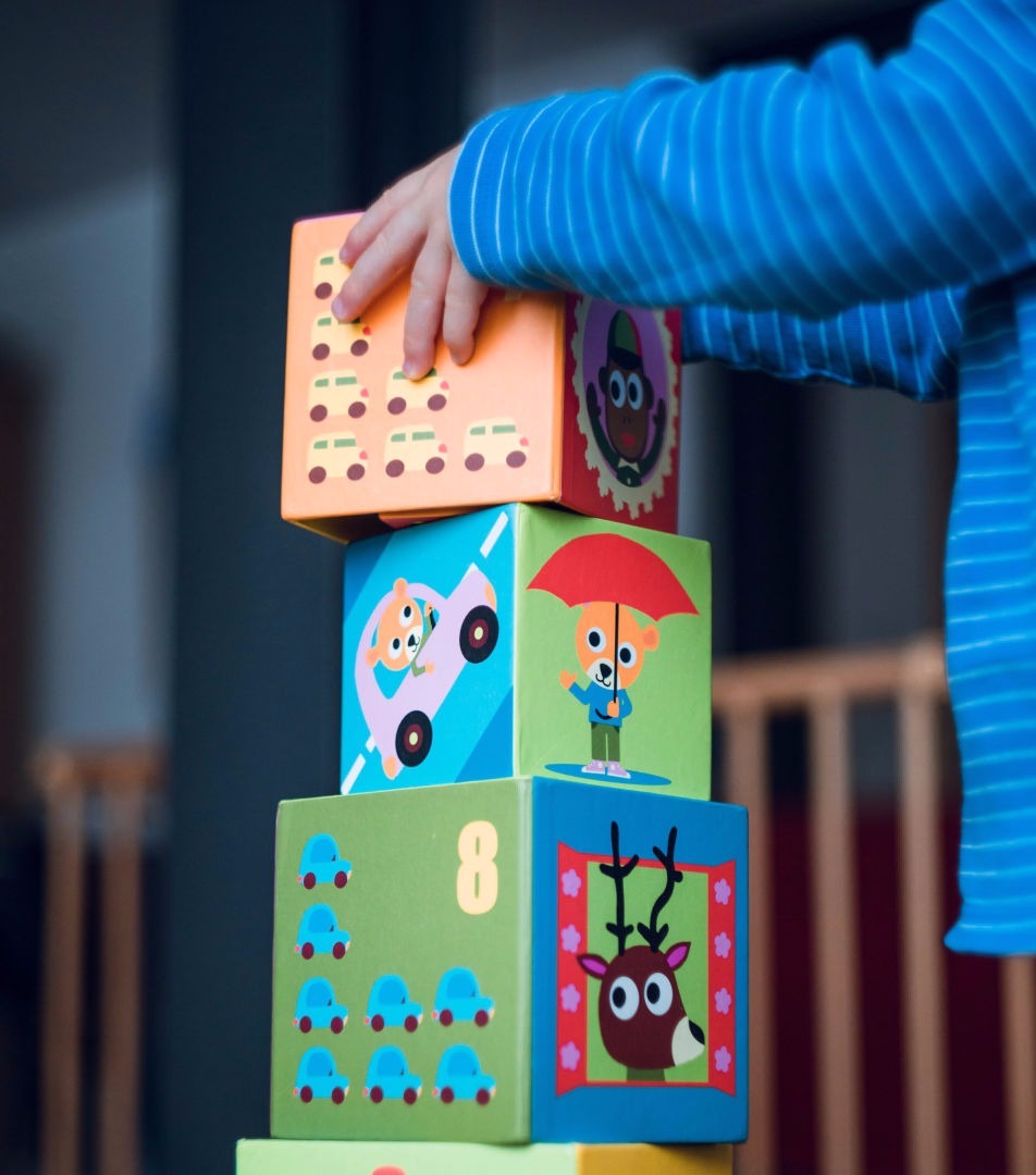 Proiecte Gradinita "Casuta Fermecata" Ludus